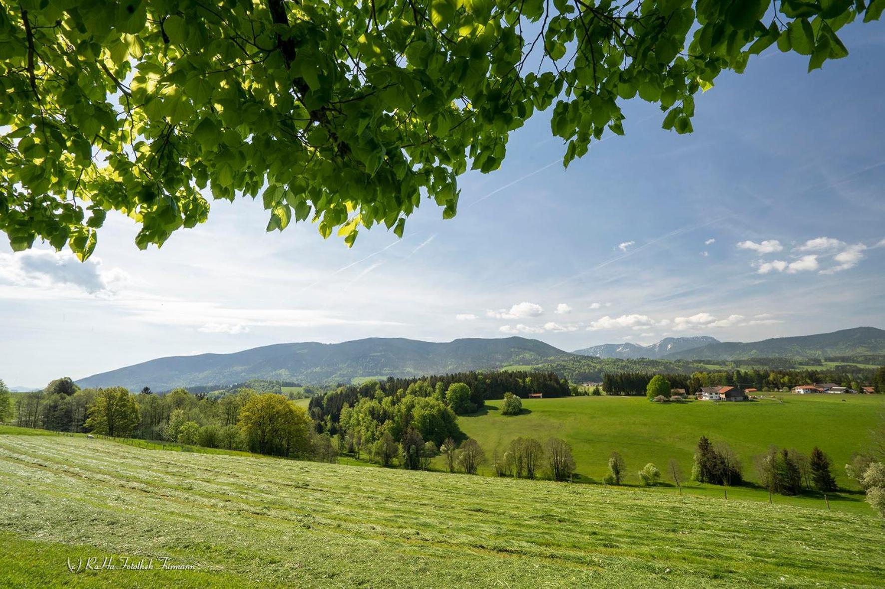 Neukirchen am Teisenberg Monteurzimmer Am Teisenberg מראה חיצוני תמונה
